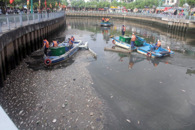 Đã vớt gần 70 tấn cá chết trên kênh Nhiêu Lộc - Thị Nghè