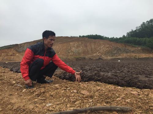 Cẩm Xuyên, Hà Tĩnh: Ô nhiễm môi trường đáng báo động từ đại dự án chăn nuôi bò